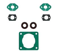 SCVYLNZ Convient for FS55 FS45 FS46 FS55R FS80 FS85 FS75 FS36