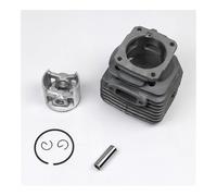 SCVYLNZ Kit Cylindre-Piston de 48 mm for tronçonneuse à Essence 262XP, 261 et 262, pièces Rechange for Outils Jardin 503541171