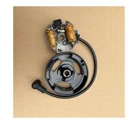 SCVYLNZ Noyau de Rotor stator adapté au Module d'allumage à Plaque 1E40F 1E45F 1E45FP 1E40FP 3WF-18 3 2.6 pulvérisateur Brouillard