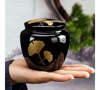 SCZMBLTLNV Urne funéraire pour Animaux de Compagnie Petites Urnes Crémation Chien Chat Porte-Cendres Miniature Urne Funéraire Commémorative Partager Les Cendres Urnes Animaux Compagnie(3)