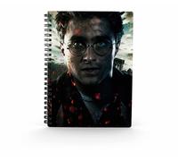 Sd Toys Carnet à effet 3D Harry Potter