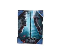 SD Toys Poster Harry Potter et Voldemort Multicolore 41 x 31 x 3 cm