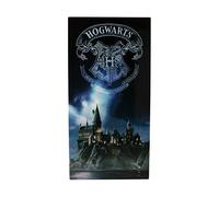 SD TOYS Harry Potter - Poster en Verre - Poudlard - 61X31x3cm