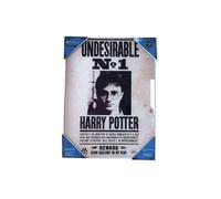 SD Toys - Harry Potter poster en verre " Undesirable No. 1"
