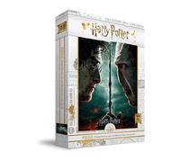 SD Toys Puzzle Harry vs Voldemort – Harry Potter – Merchandising officiel – Dirac Sdtwrn23240