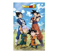 SD TOYS - Poster 3D Battle of Gods Goku Vegeta Family Dragon Ball Super - Dimensions 38 x 58 cm