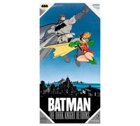 Poster DC Comics verre trempé Dark Knight Returns Batman & Robin 30x60cm