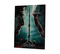 SD Toys Poster Harry Potter et Voldemort Multicolore 41 x 31 x 3 cm