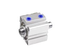 SDAD Pneumatic Double Rod Cylinder - Bore Size 12/16/20/25mm, Stroke 5-100mm, Ideal for Automation and Robotics(Stroke 100mm)