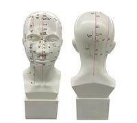 SdaryWare Modèle d'acupuncture de la tête Humaine, modèle de Points d'acupuncture à Quatre Fonctions, modèle de méridien de la tête du Corps Humain de la médecine Traditionnelle Chinois