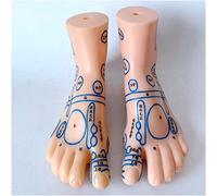 SdaryWare Modèle d'acupuncture du Pied de 19 cm - Modèle Professionnel de Point d'acupuncture de réflexologie Plantaire - Modèle Anatomique médical de Point d'acupuncture de Massage des