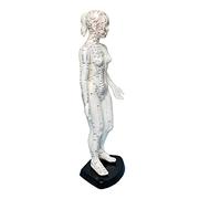 SdaryWare Modèle d'acupuncture Humaine 48 cm - Modèle d'acupuncture féminine Chinoise du Corps Humain avec Points méridiens - pour l'enseignement du Massage méridien et l'école