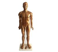 SdaryWare Modèle d'acupuncture Humaine en Bronze, modèle d'acupuncture du Corps Humain en Bronze de 84 cm, modèle de méridien du Corps Humain avec Points d'acupuncture Transparents HD p