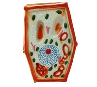 SdaryWare Modèle de Cellule végétale Modèle d'anatomie Modèle de Cellule végétale Enseignement médical Modèle cellulaire pour l'enseignement de la biologie Scolaire Éducation Recherche scien,A-30cm