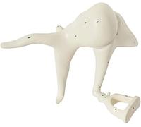 SdaryWare Modèle d'osselet - Modèle Anatomique de Structure de l'oreille Interne Modèle agrandi - Modèle d'osselet Anatomique médical - pour l'enseignement des Sciences