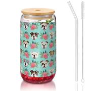 SDEGTHO Verres à boire amusants avec paille en verre 473,6 g pour bière, café glacé, whisky, cadeau