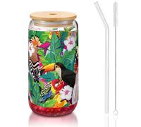 SDEGTHO Verres à boire mignons avec paille en verre pour bière, café glacé, whisky, oiseaux tropicaux et feuilles de plantes, 473,6 g