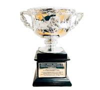 SDGBCXD trophée, Trophées du Grand Chelem de Championnat Cadeaux for Les Fans Federer Objets Collection Tennis Ornements d'affichage à thème Bar Bureau