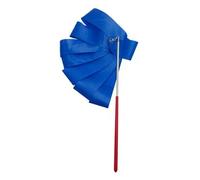 SDIUAKBV Ruban Danse Ruban de Gymnastique Rythmique coloré 2M/4M, Danse, Art, Ballet, Banderole, bâton d'entraînement pour la Gymnastique(2m Blue)