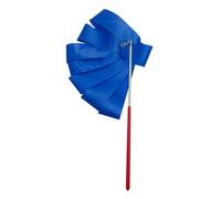 SDIUAKBV Ruban Danse Ruban de Gymnastique Rythmique coloré 2M/4M, Danse, Art, Ballet, Banderole, bâton d'entraînement pour la Gymnastique(4m Blue)