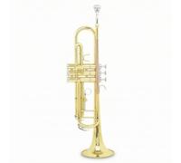 Sdlnklm Trompette Bémol Trompette en Cuivre Instrument à Vent Pavillon Large Embouchure Argentée Pistons Lisses avec Accessoires Complets Gants Sangles