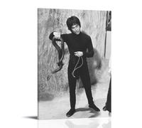 sdnkbro Poster vintage Bruce Lee Jeet Kune Do Master Bruce Lee King Cobra - Affiches murales décoratives sur toile - Décoration murale moderne pour chambre à coucher (60 x 90 cm)