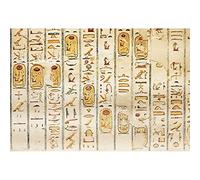 SDOTPMT 10x7ft Égypte hiéroglyphes Polyester Dos Fond des Anciens Egyptiens Civilisation Egypte Art Photo archéologie Cours Photo Shoot Histoire Culture Murale Fond d'écran