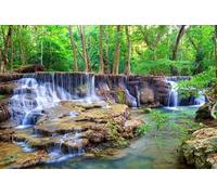 SDOTPMT 10x7ft Forêt Cascade Polyester Fond forêt Tropicale forêt Tropicale Paysage Rural Photographie Fond Enfants fête d'anniversaire véritable Jungle Fond décor Adulte Portrait Photo Studio Prop