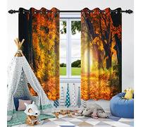SDOTPMT 132x214cm Automne forêt Paysage Rideaux Nature et forêt de Charme Arbres Sauvages Rideaux Automne Rideaux décoration Chambre Rideaux occultants, 2 pièces