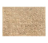 SDOTPMT 7x5ft Egypte Murale Polyester Fond Antique Egypte Pierre Patrimoine archéologie Vintage fresque Totem Abstrait Historique fresque Fond Vintage Art Studio Photo