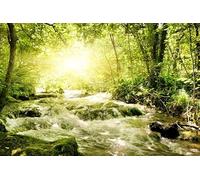 SDOTPMT 7x5ft Forêt Tropicale Fond Polyester Jungle Cascade Soleil Aventure randonnée Photographie de Fond Enfants fête d'anniversaire Fond de forêt réaliste décor Photo Studio Prop