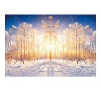 SDOTPMT 7x5ft Hiver Neige Paysage Polyester bandoulière Hiver Neige Sapin forêt ensoleillé Hiver Paysage Fond Famille Noël Fond Nouvel an fête décoration Tomber Amoureux Photo Prop