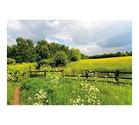 SDOTPMT 7x5ft Terrain extérieur Paysage Polyester backlist Printemps été Rustique Nature Vert Prairie Arbres Fleurs Ciel Bleu Blanc Nuages Fond Enfants Adultes Portrait Studio Prop