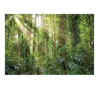 SDOTPMT 8x6ft Paisible forêt Naturelle Polyester Fond Ensoleillé forêt Jungle Printemps forêt Nature Paysage Fond Camping thème bannière activité Studio Photo Prop