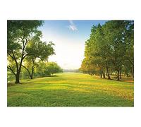 SDOTPMT 8x6ft Vert Vif Paysage Polyester Jupon Printemps été Campagne Prairie Arbres rivière ensoleillé Ciel Bleu Nuage en Plein air fête Fond Adulte Portrait Studio Prop