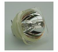 SDPOLHYGF Lampe de projecteur de Remplacement BL-Fu310B / De.5811118436 Lampe Nue du projecteur de Rechange Fit pour Optoma EH500 DH1017 x600 Ampoule de Lampe de projecteur