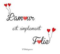 SDT Sticker Citation Folie