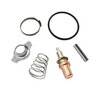 sDtESNB Kit de Thermostat de Remplacement 122 °F 50 °C Compatible avec 892864T06 18-3635 892864A06 Compatible avec Les Moteurs 75 80 90 100 115 135 150
