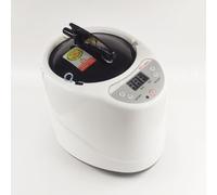 SDVXUOLM Machine à Vapeur for Sauna, fumigateur for Salle de Bain, Appareil Fumigation adapté la Maison, aux hôtels et salles Chauffage pour la Maison(2L)