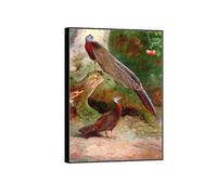 SDYSKKUG Archibald Thorburn Impression sur Toile. Célèbre Tableau Décoration Salon. Paire d'oiseaux. Animaux Affiche 70x50cm Cadre Noir