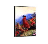 SDYSKKUG Archibald Thorburn Impression sur Toile. Célèbre Tableau Décoration Salon. Paire satyres tragopans. Animaux Affiche 70x50cm Cadre Noir