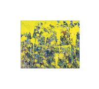 SDYSKKUG Walasse Ting Impression sur Toile. Il pleut du soleil. Célèbre Peinture. D'art Mural Tableau Décoration Salon. Reproductions 35x30cm Sans Cadre