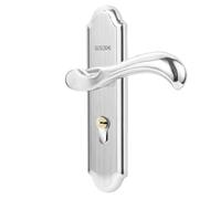 SDyudDS Poignées de porte, Ensemble de poignée à mortaiser brossée, loquet levier clé avec pêne dormant for porte moustiquaire 35 50 mm