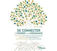 Se connecter à l'énergie de l'abondance Sylvie Liger (Auteur)