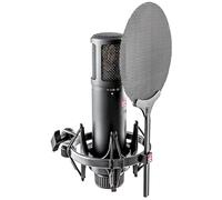 sE Electronics sE2200 Noir Microphone de studio