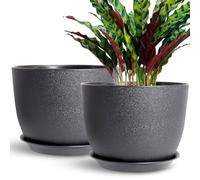 SE SUN-E Lot de 2 pots de fleurs d'extérieur de 30 cm avec soucoupe, pour plantes d'intérieur avec trou de drainage - Noir - En plastique