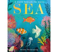 Sea: A World Beneath the Waves – Little Tiger Verlag