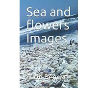 Sea And Flowers Images (1)
