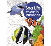 Sea Life Colour by Numbers by David Woodroffe David Woodroffe (Auteur)