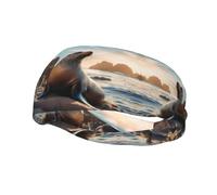 Sea Lion on The Rocks Bandeau élastique pour le basket-ball Fitness Unisexe Sport Course Cyclisme Yoga Bande absorbant la transpiration
